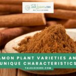 6 Cinnamon Plant Varieties and Their Unique Characteristics