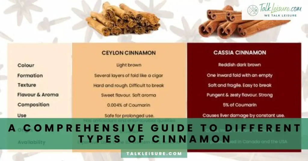 A Comprehensive Guide to Different Types of Cinnamon