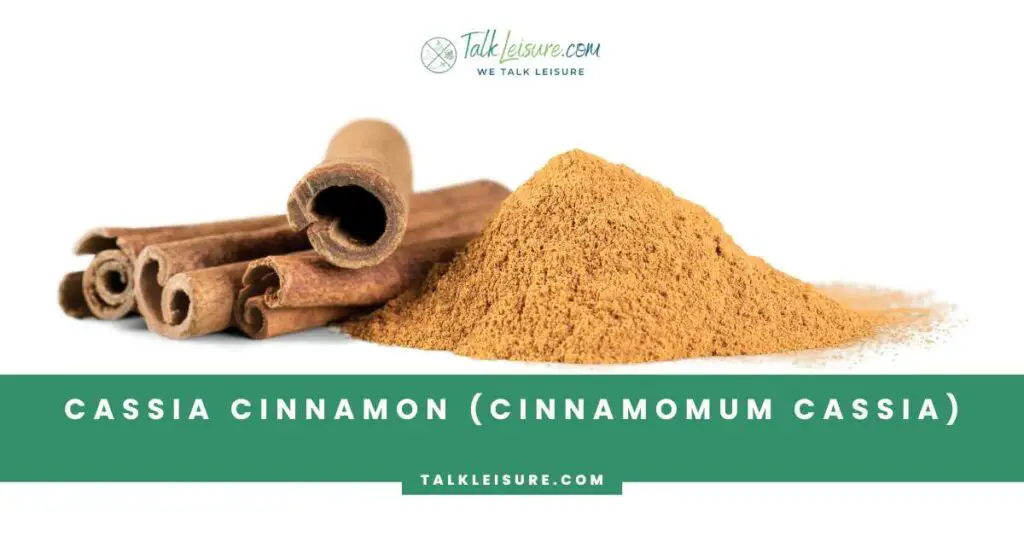 Cassia Cinnamon (Cinnamomum cassia)