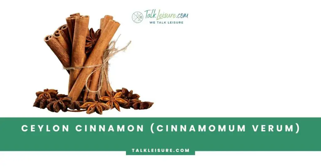 Ceylon Cinnamon (Cinnamomum verum)