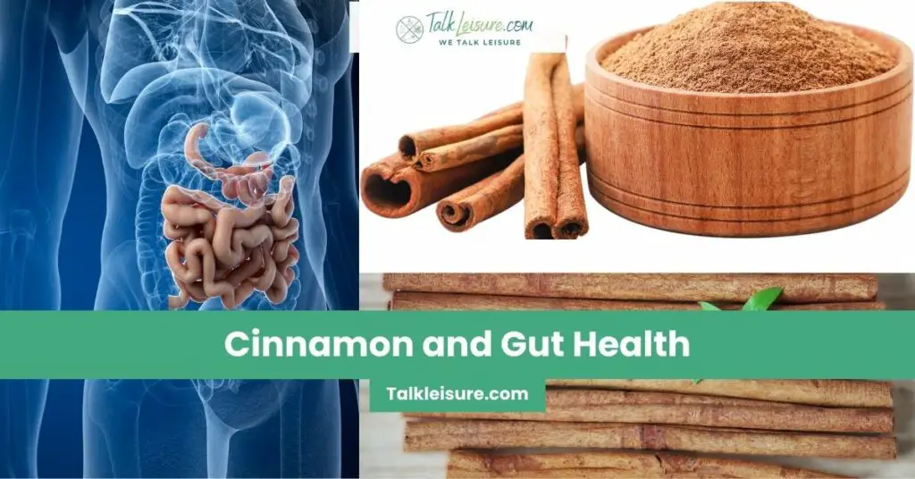 Cinnamon and Gut Health