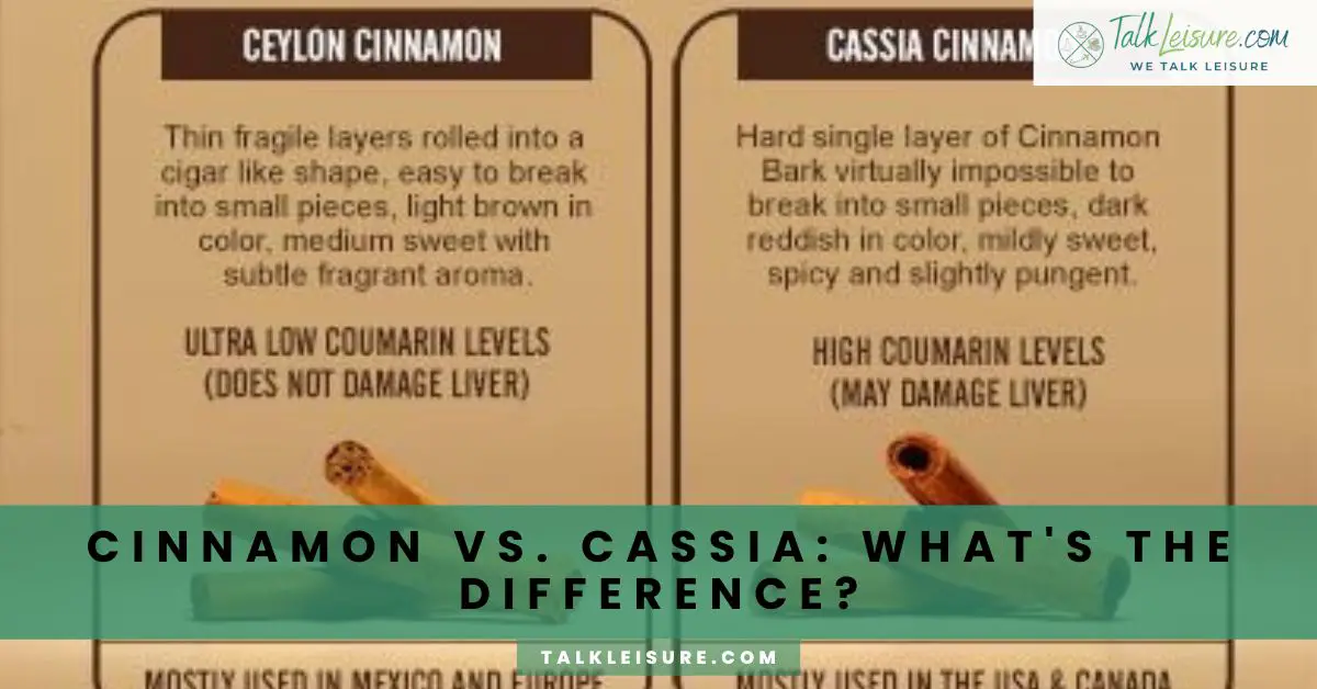 Cinnamon vs. Cassia What's the Difference? Talk Leisure