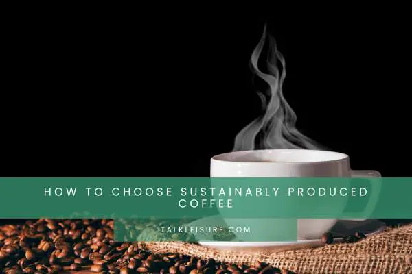 How To Choose Sustainably Produced Coffee