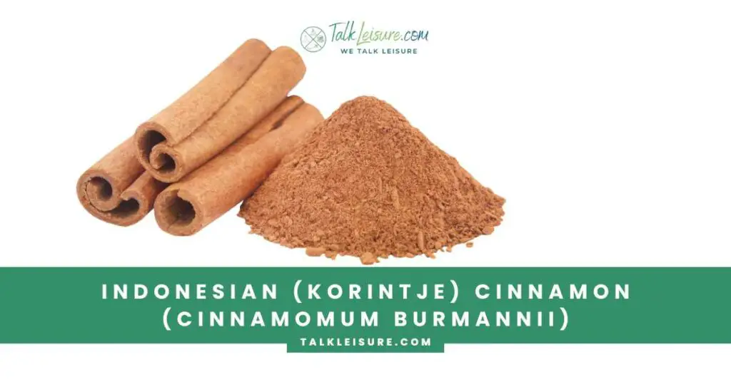 Indonesian (Korintje) Cinnamon (Cinnamomum burmannii)