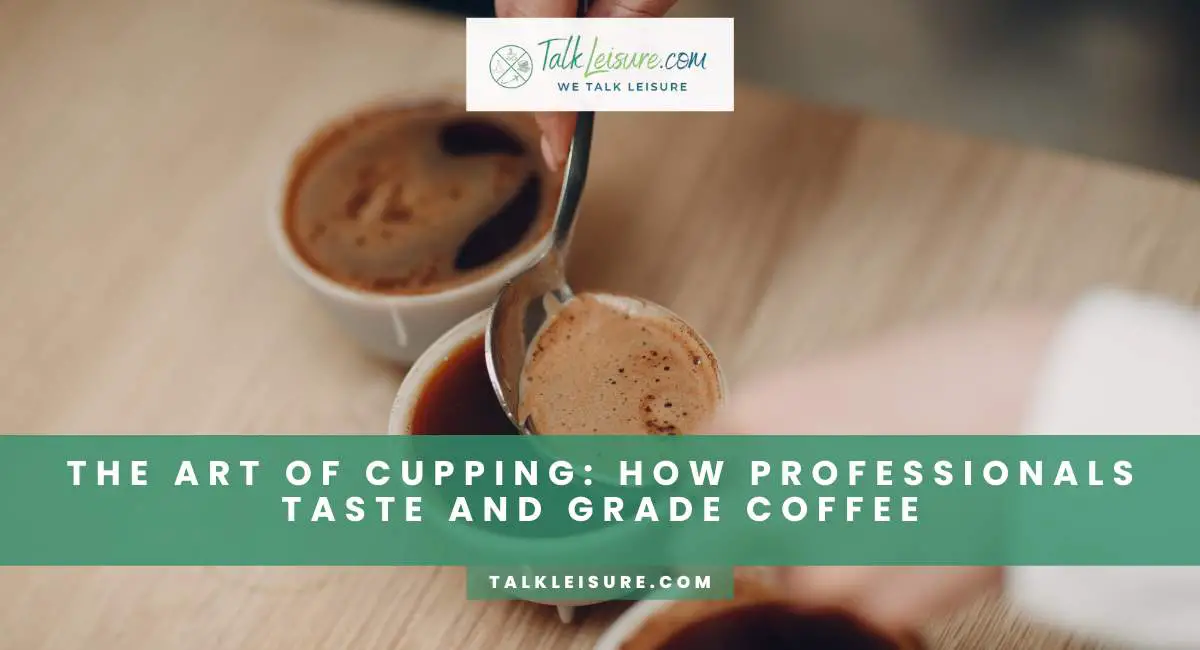 The Art Of Cupping How Professionals Taste And Grade Coffee Talk Leisure