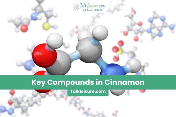 Key Compounds in Cinnamon