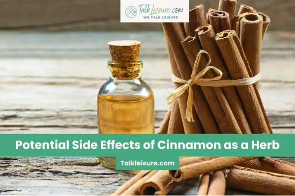 Potential Side Effects of Cinnamon as a Herb