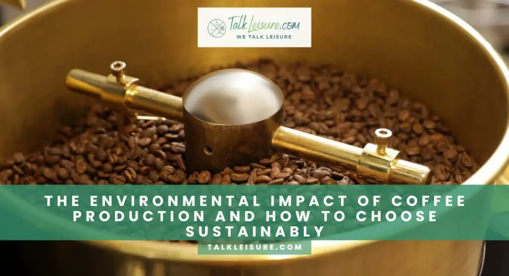 The Environmental Impact Of Coffee Production And How To Choose Sustainably