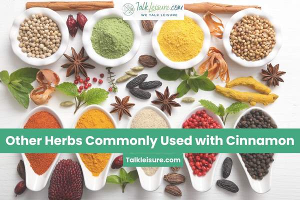 Other Herbs Commonly Used with Cinnamon